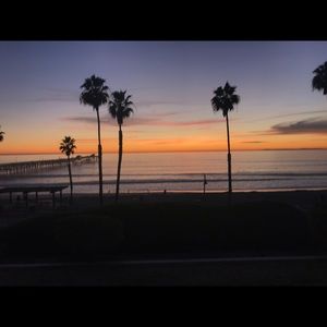 Meet your Posher, Monika